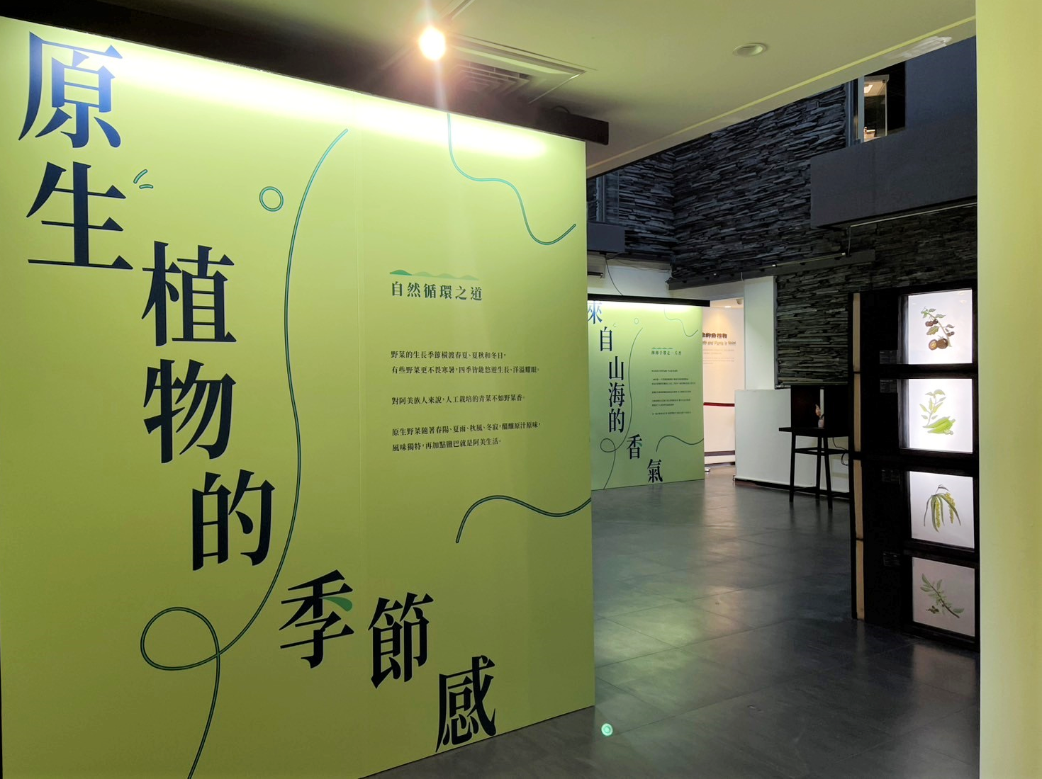 【地球自造 野菜香】野菜圖鑑特展介紹看板展場照片2